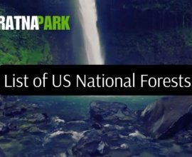 List of US National Forests