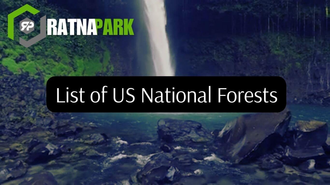 List of US National Forests